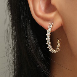 Large circle Crystal earrings