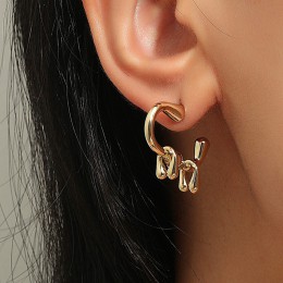 Ho irregular earrings