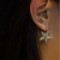 Crystal Crystal Pentagram Earrings